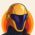 Zarion profile