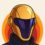 Zarion profile